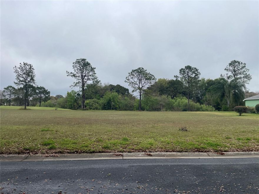 Design your dream home in the Lakes of Lady Lake golf course community! This expansive 1/3-acre lot, offering breathtaking views and surrounded by the serene ambiance of the golf course, is the ideal canvas for your custom residence. Explore the tranquility of this gated community by strolling, cruising in your golf cart, or cycling. Engage in neighborly interactions while being just minutes away from The Villages, providing easy access to shopping, dining, and various amenities. With no age restrictions and an annual $700.00 HOA, you have the flexibility to create the home you've always envisioned. Seize this remarkable opportunity to embrace the golf community lifestyle in the heart of Lakes of Lady Lake!