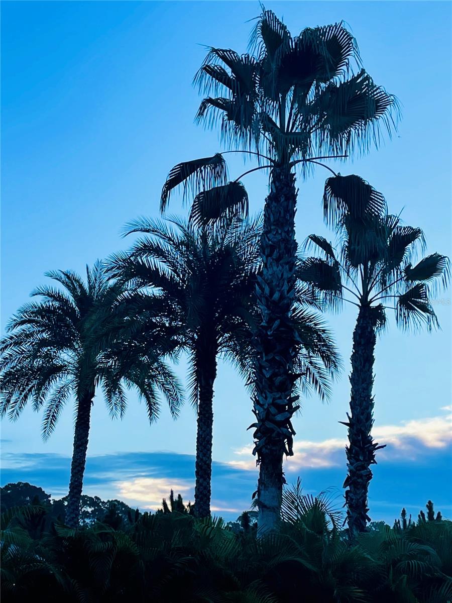 DEER CREEK GOLF & TENNIS RV RESORT PH 03-A - Residential