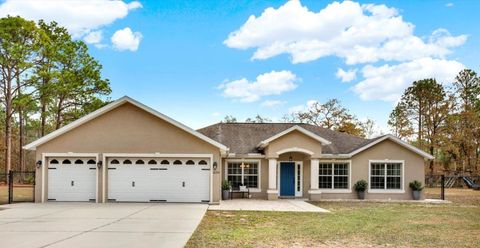 Photo of 16374 Mantle Road, Weeki Wachee, FL 34614 (MLS # TB8458045)
