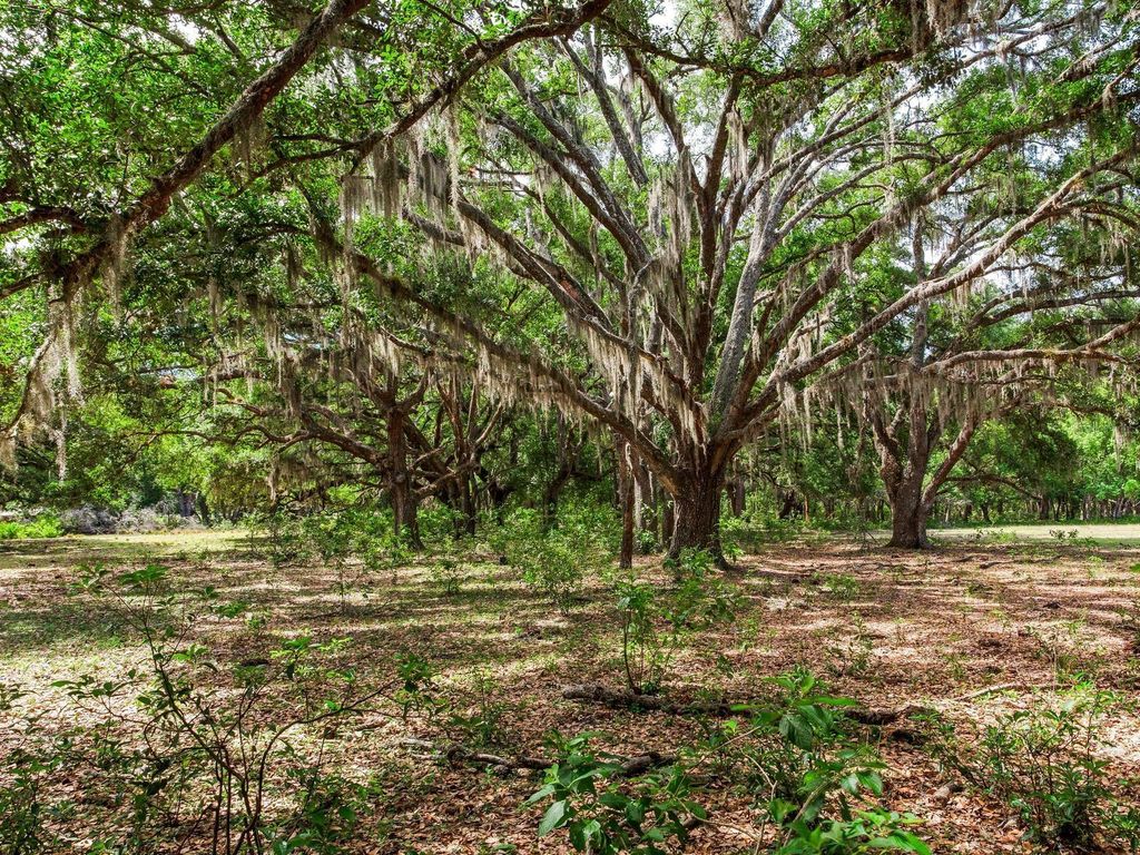 Photo of Thonotosassa, FL 33592 (MLS # TB8505252)