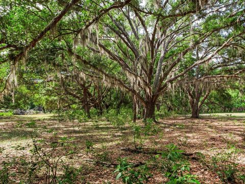 Photo of Thonotosassa, FL 33592 (MLS # TB8505252)