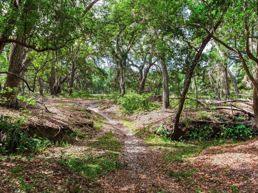 Photo of Thonotosassa, FL 33592 (MLS # TB8505252)