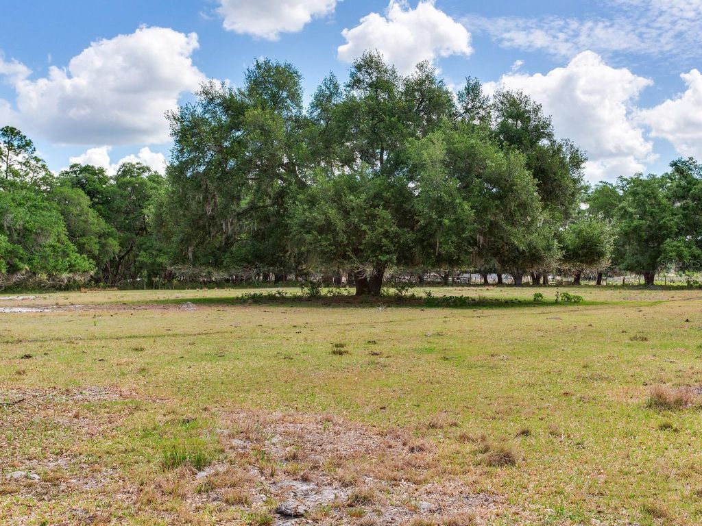 Photo of Thonotosassa, FL 33592 (MLS # TB8505252)