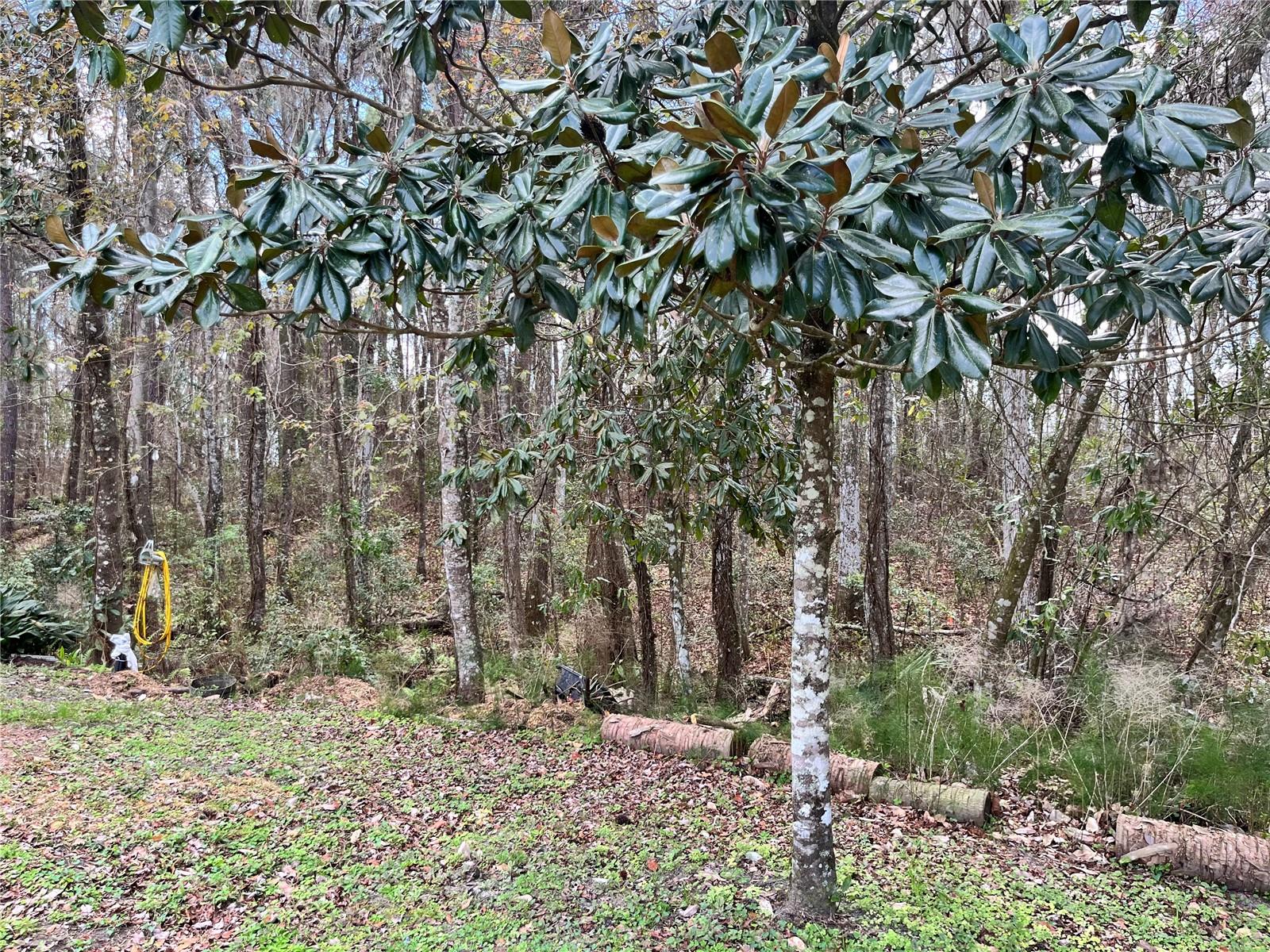 METES AND BOUNDS - Residential