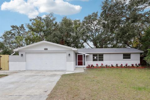 11592 110TH TERRACE SEMINOLE FL 33778