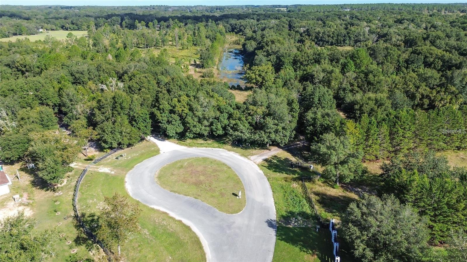 TREE FROG LOT 6 LANE