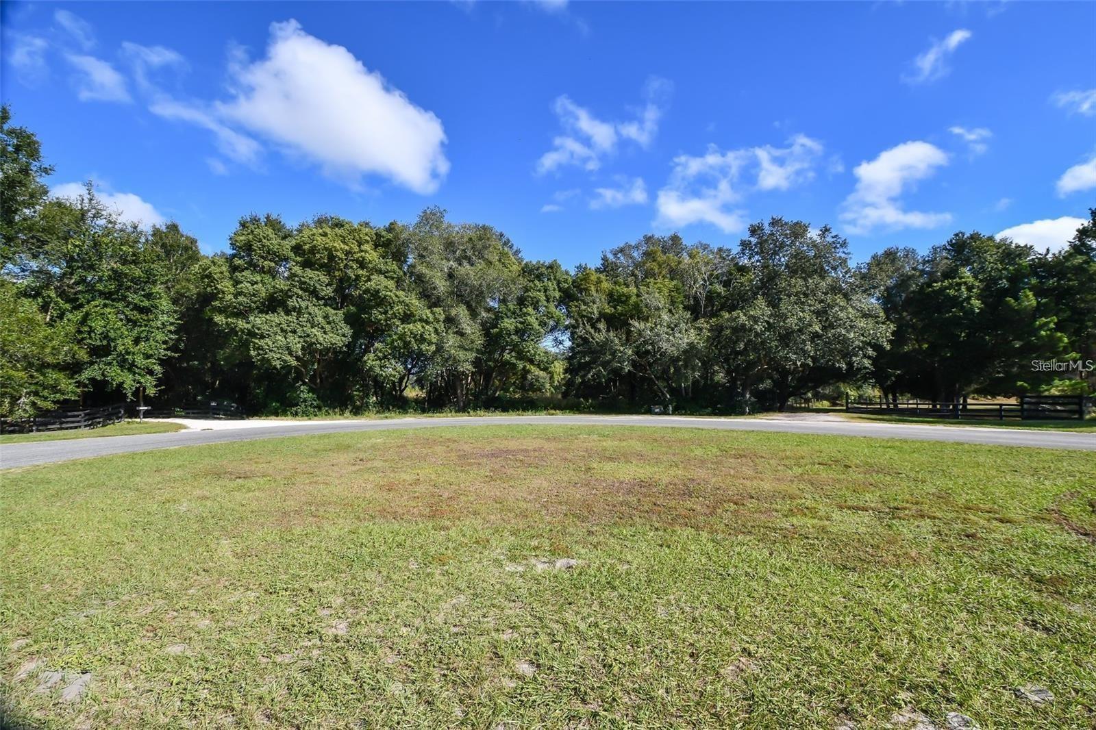 TREE FROG LOT 6 LANE