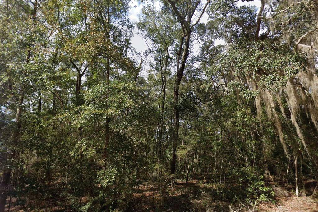 Nestled amid mature trees in a quiet, lake-rich neighborhood, this spacious interior lot offers a prime setting for a custom home or weekend retreat. The seller has additional parcels in both Putnam and Washington Counties and is open to discounted pricing for multiple lot purchases. All information is deemed reliable but should be independently verified.