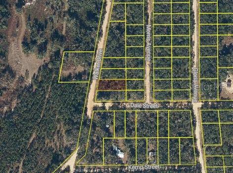 INTERLACHEN LAKES ESTATES - Land