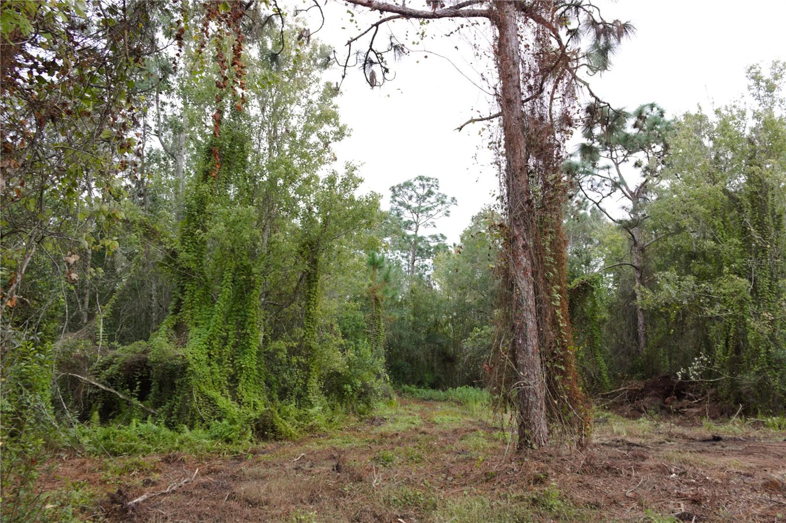 DEER PARK ACRES - Land