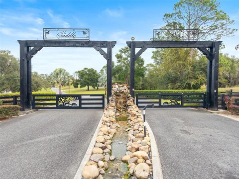 Tiny photo for 41526 Saddle Ridge Lane, Weirsdale, FL 32195 (MLS # OM712763)