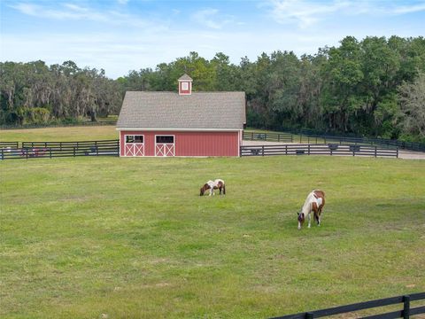 Tiny photo for 41526 Saddle Ridge Lane, Weirsdale, FL 32195 (MLS # OM712763)