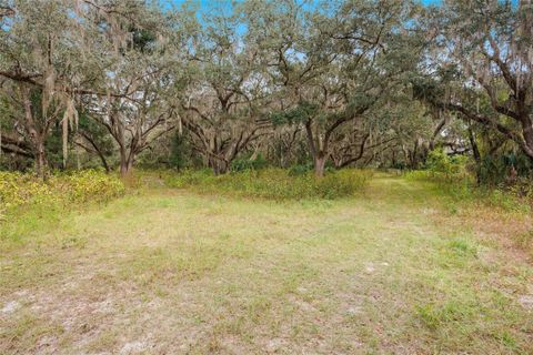 Tiny photo for 41526 Saddle Ridge Lane, Weirsdale, FL 32195 (MLS # OM712763)