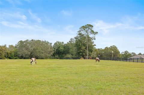 Tiny photo for 41526 Saddle Ridge Lane, Weirsdale, FL 32195 (MLS # OM712763)