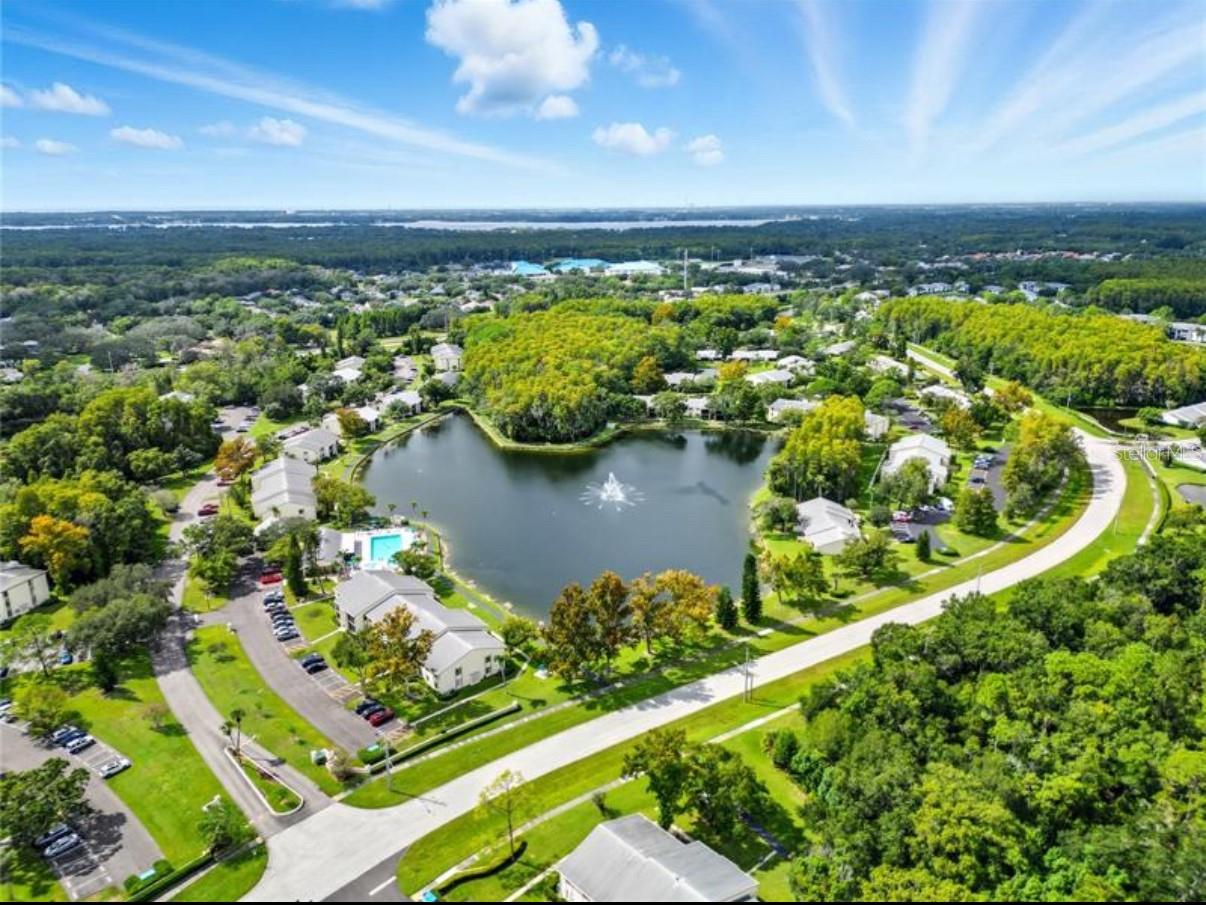 PINE RIDGE AT LAKE TARPON VILLAGE - Residential Lease