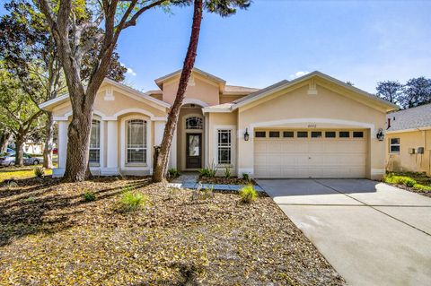 Photo of 6002 Martinglade Place, Lithia, FL 33547 (MLS # TB8485613)