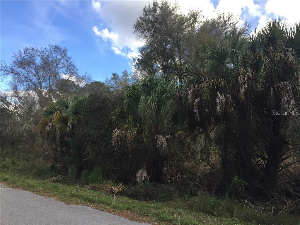 PORT CHARLOTTE SUB 30 - Land