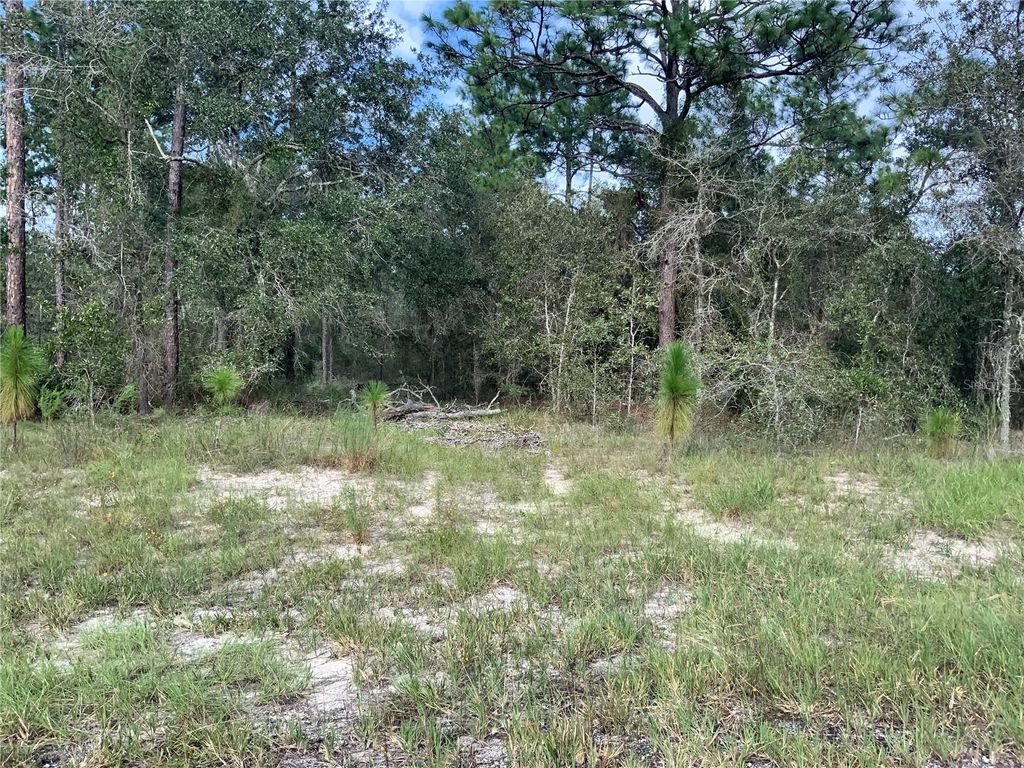 Photo of 00 SE 139th Lot 23 Terrace, Morriston, FL 32668 (MLS # OM723569)