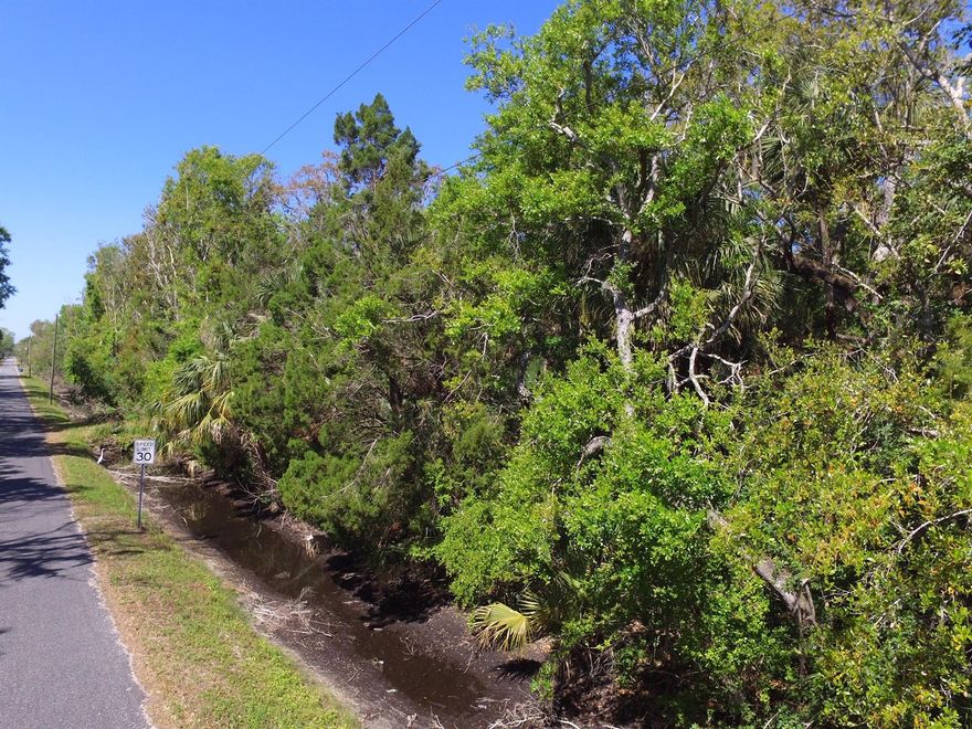 19 wooded acres that can be used as a hunting property that is frequented by deer ad wild hog from the Merritt Island national Preserve. This 2 parcel property (944401040580 & 944401040590) is ready for its new owner.  Please do your due diligence on this property to make sure what you would like to accomplish with it can be done from a state/county perspective.  The Seller and Agent have no knowledge of what can be done with the property.; Cleared: No ;Water: Holding Tank