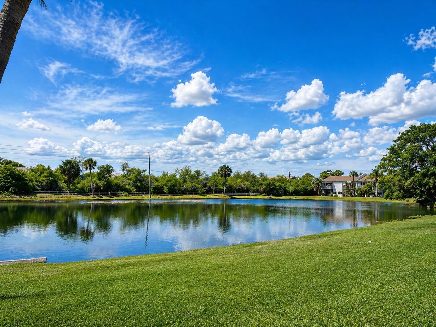 PEPPERTREE LAKE CONDO - Residential