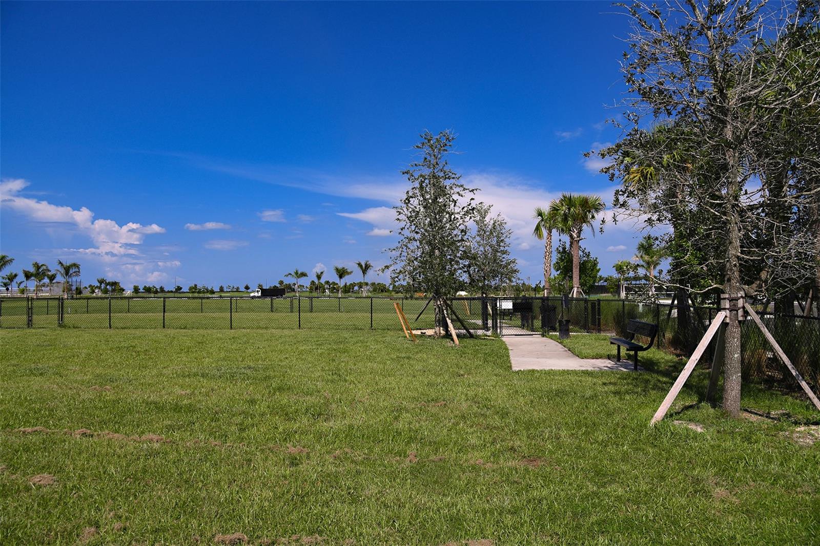 CASSIA AT SKYE RANCH - Residential