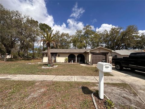 Photo of 12805 Pecan Tree Drive, Hudson, FL 34669 (MLS # TB8485490)
