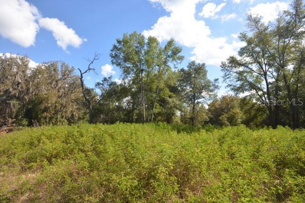 Photo of 8776 SW 139th Place Road, Ocala, FL 34473 (MLS # OM713137)