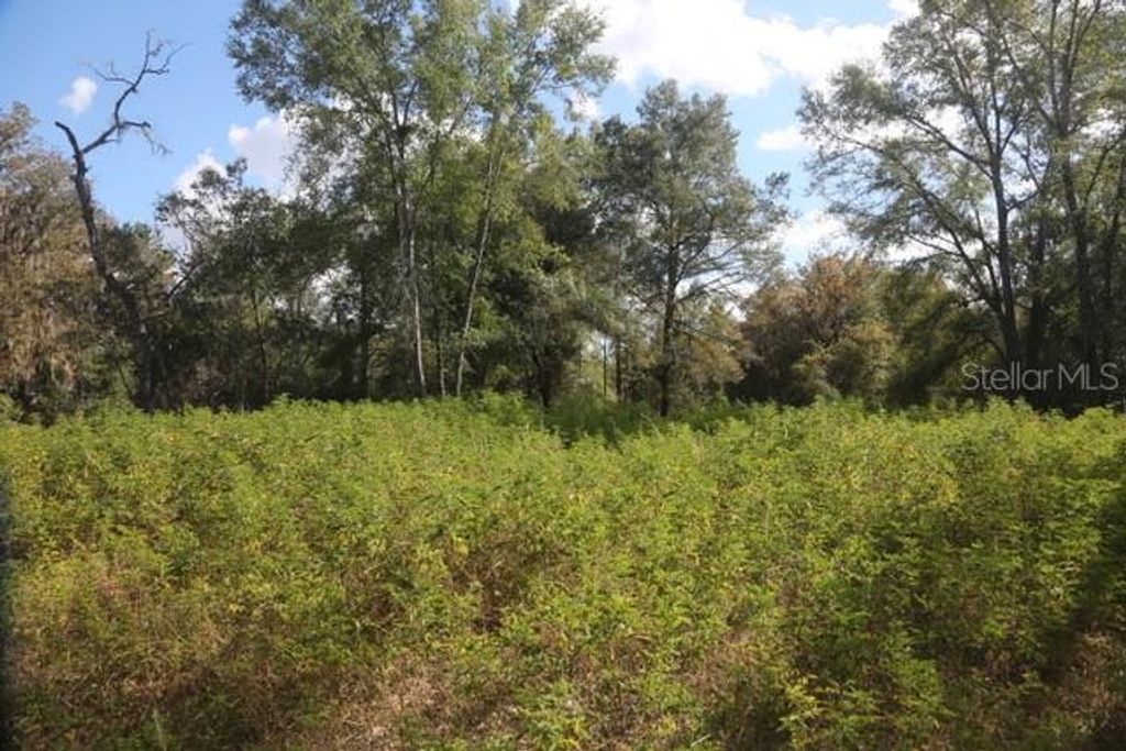 Photo of 8776 SW 139th Place Road, Ocala, FL 34473 (MLS # OM713137)