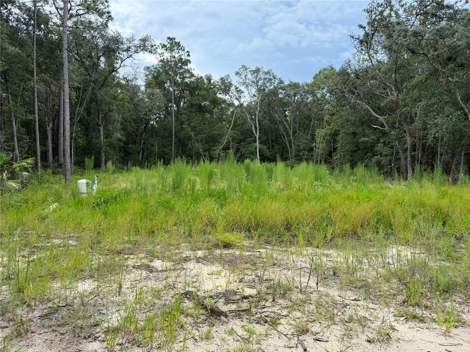 INTERLACHEN LAKES ESTATES - Land