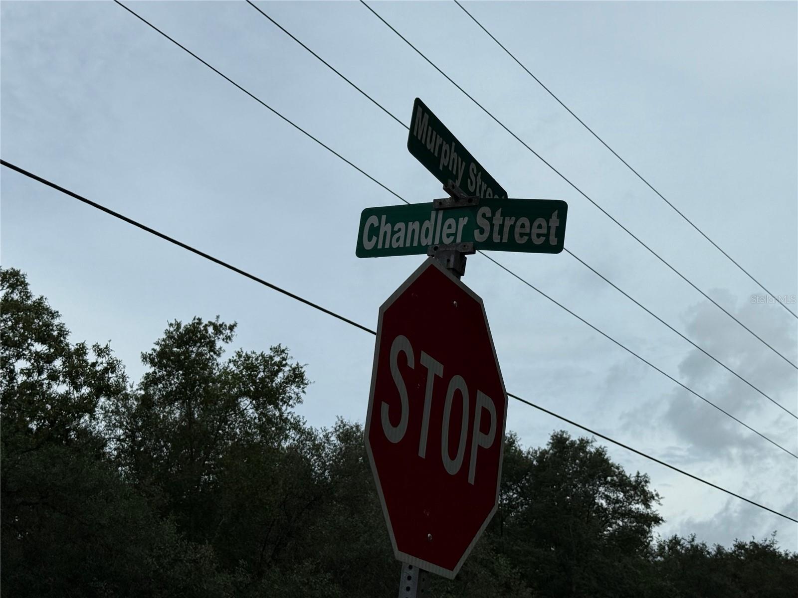 INTERLACHEN LAKES ESTATES - Land