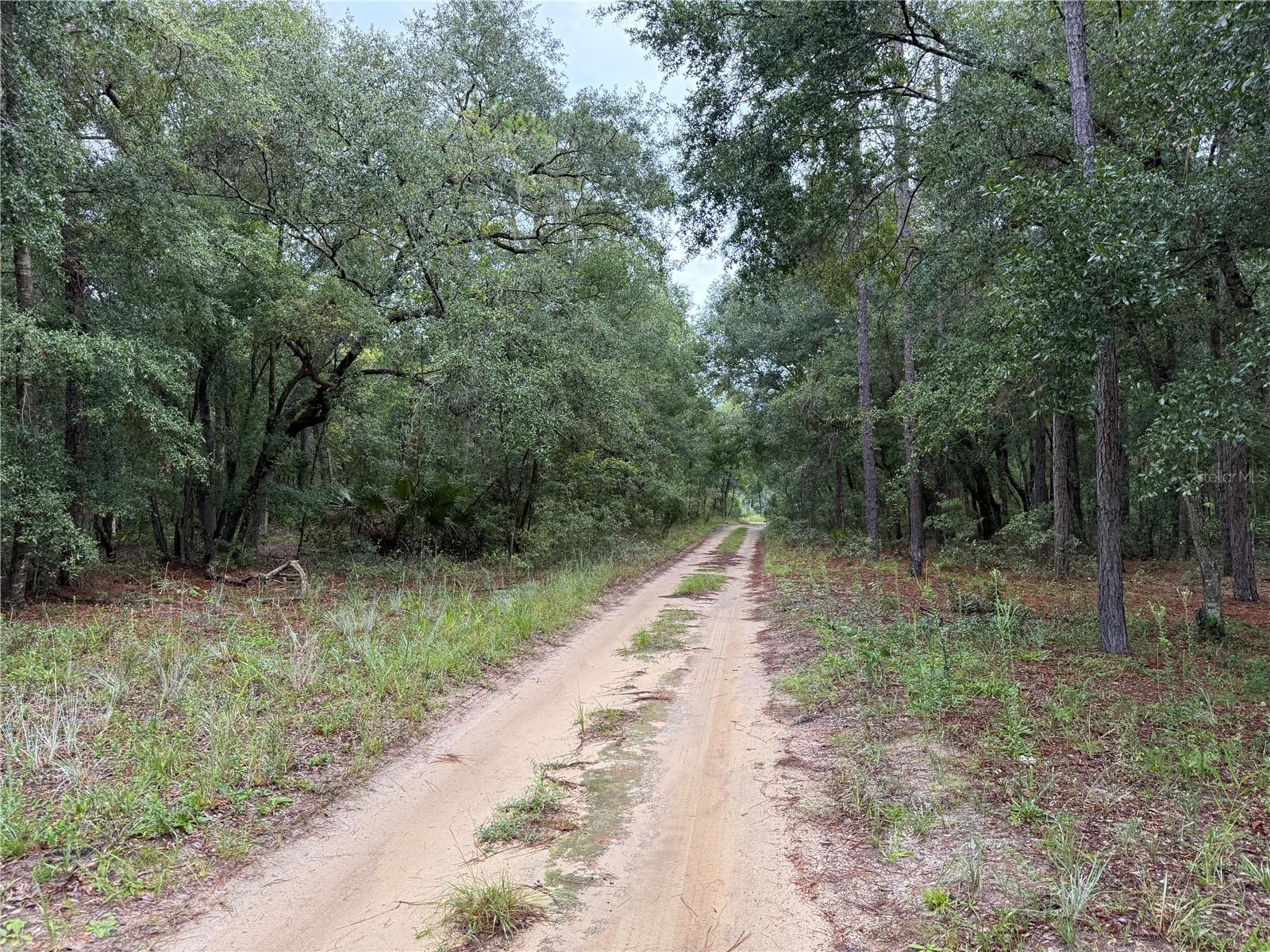 INTERLACHEN LAKES ESTATES - Land