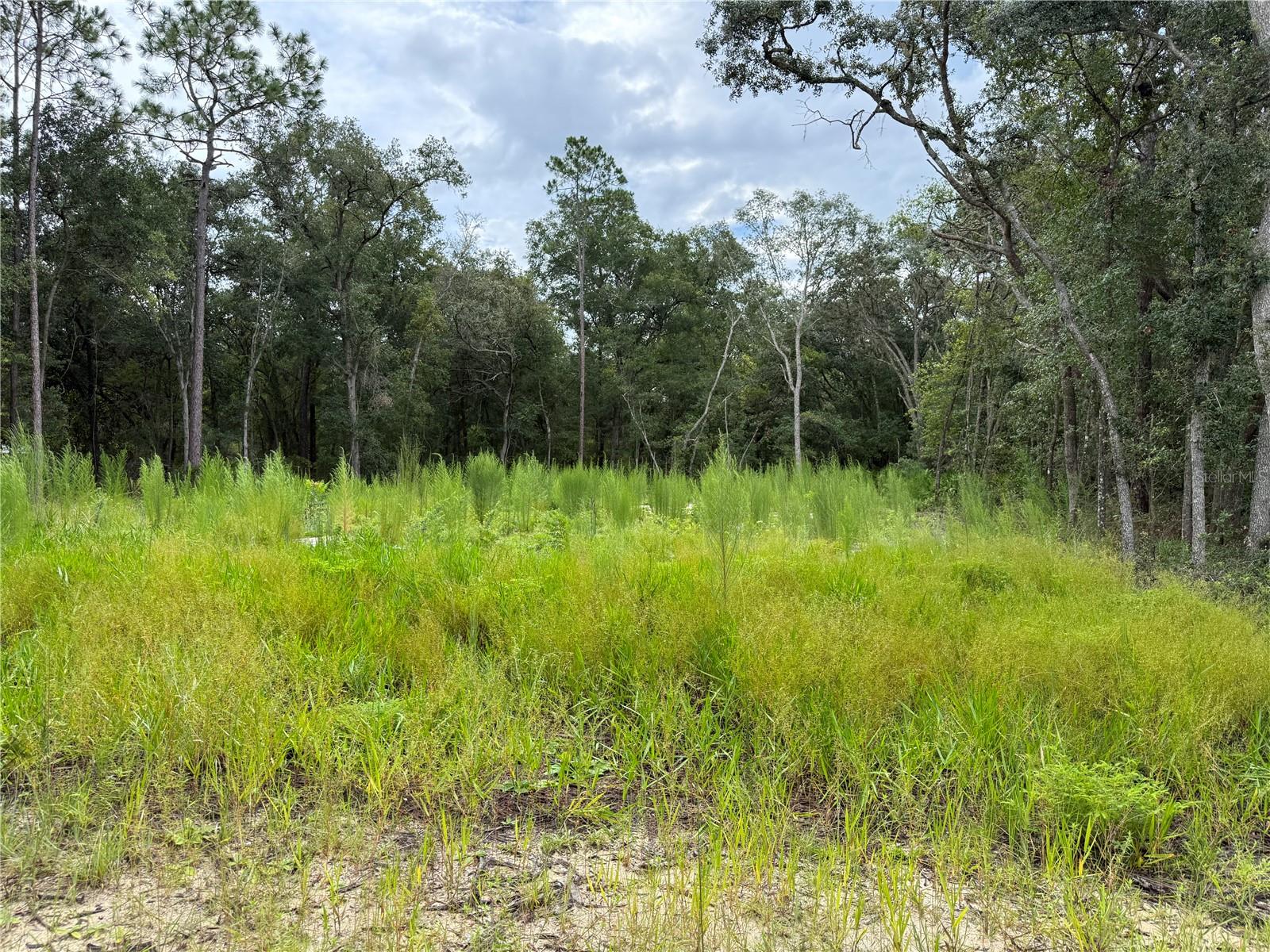 INTERLACHEN LAKES ESTATES - Land