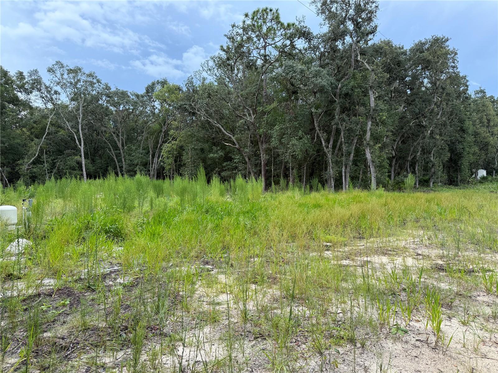 INTERLACHEN LAKES ESTATES - Land