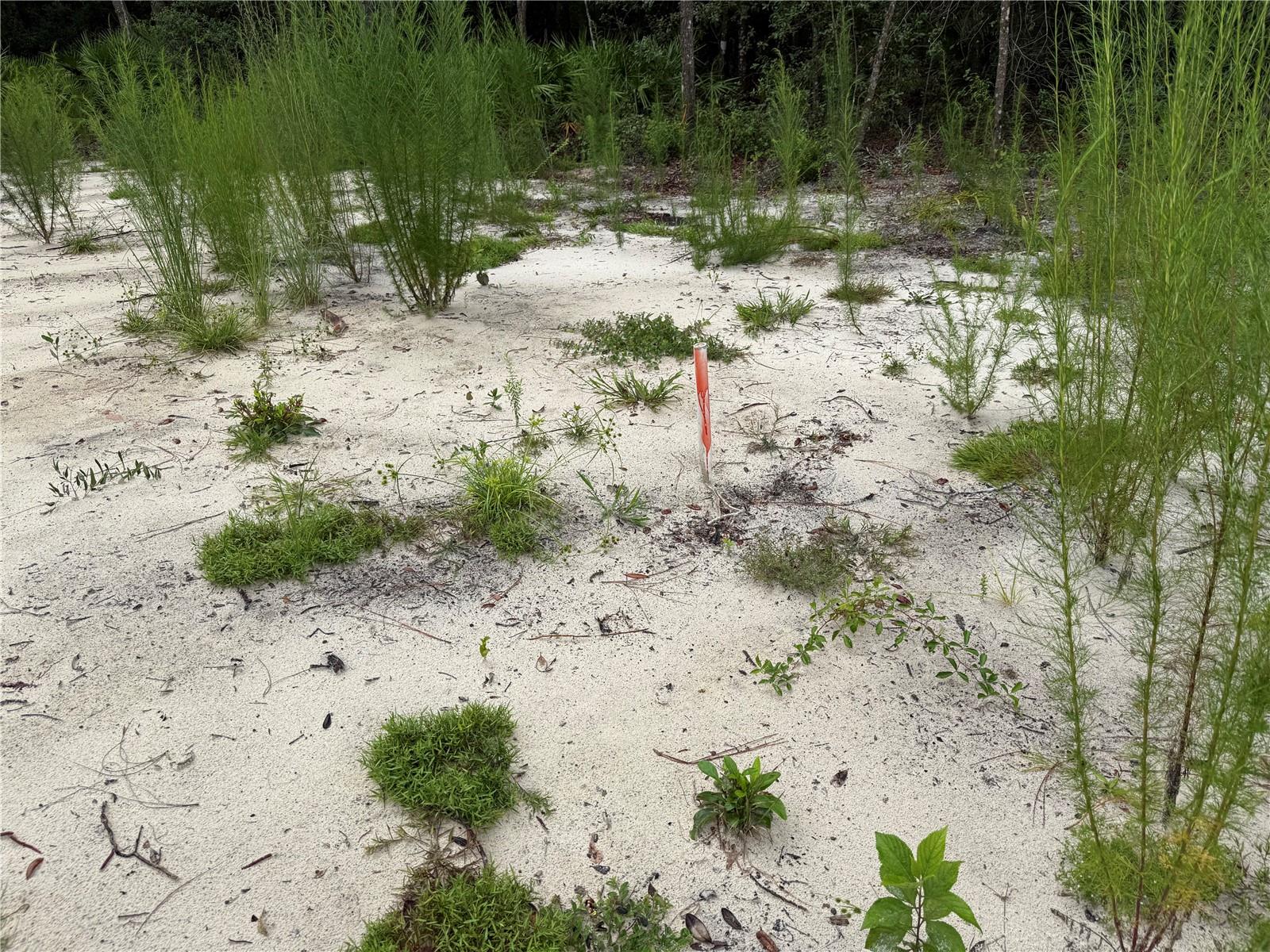 INTERLACHEN LAKES ESTATES - Land