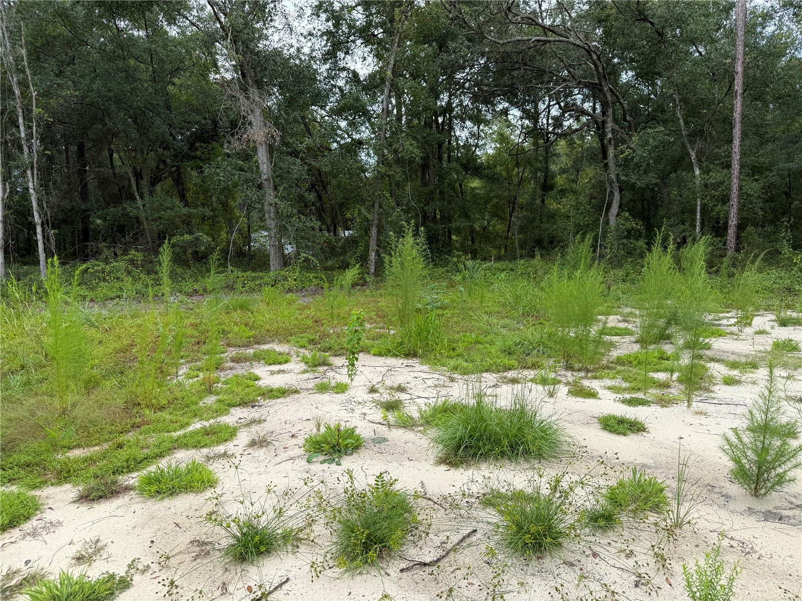 INTERLACHEN LAKES ESTATES - Land