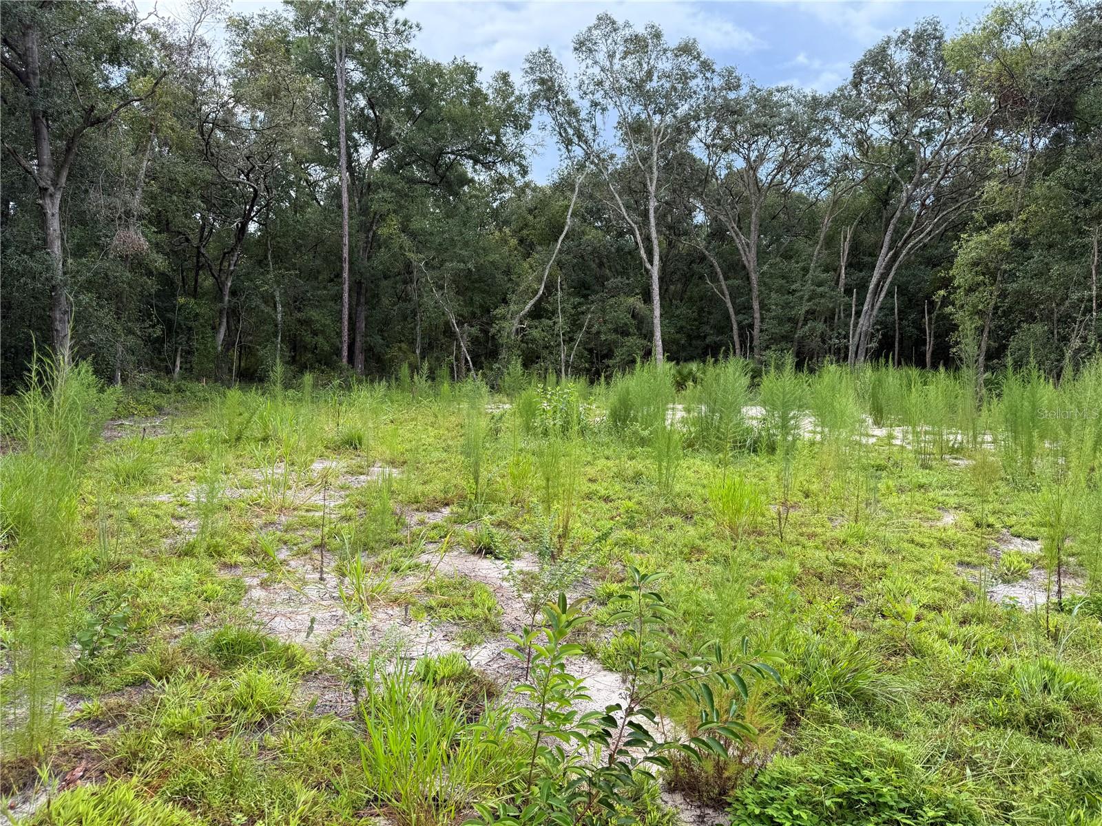 INTERLACHEN LAKES ESTATES - Land