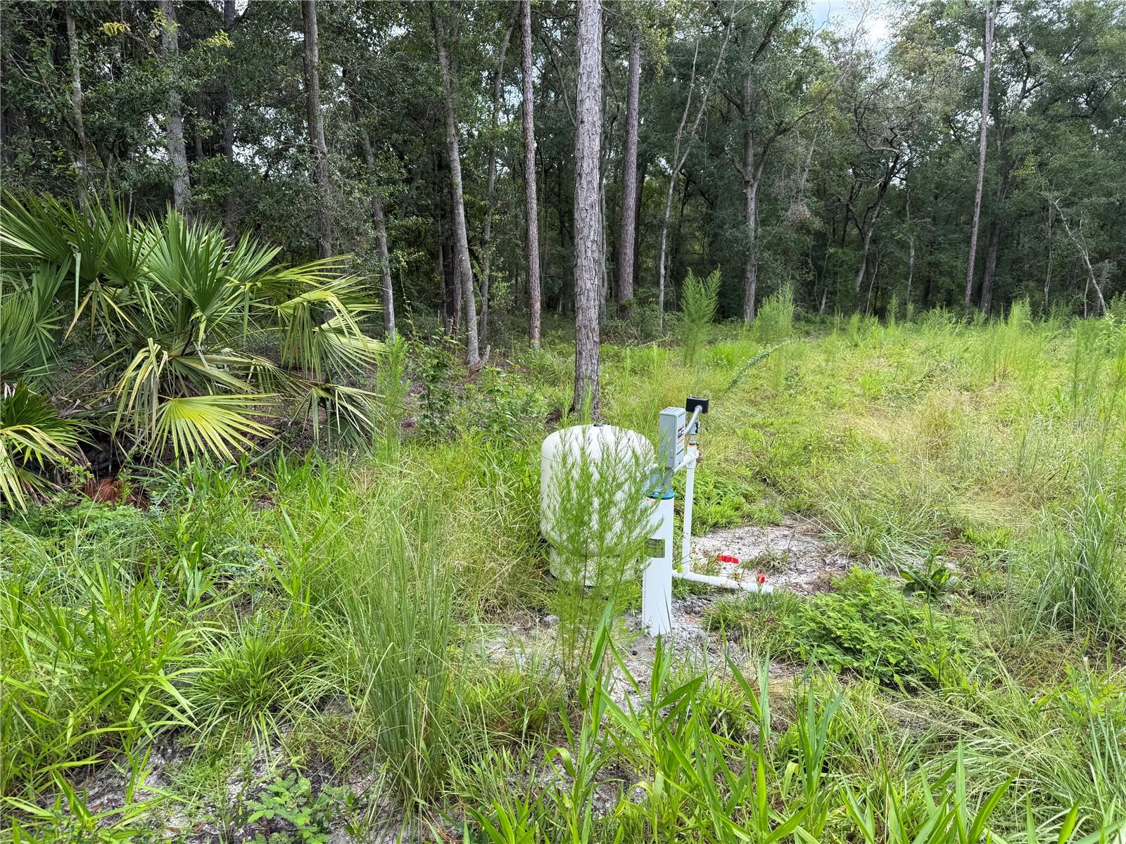 INTERLACHEN LAKES ESTATES - Land