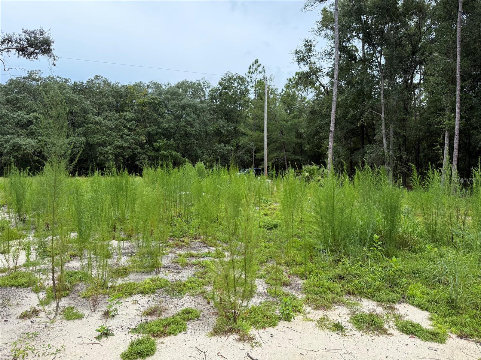 INTERLACHEN LAKES ESTATES - Land