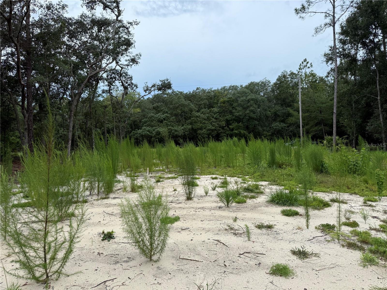 INTERLACHEN LAKES ESTATES - Land