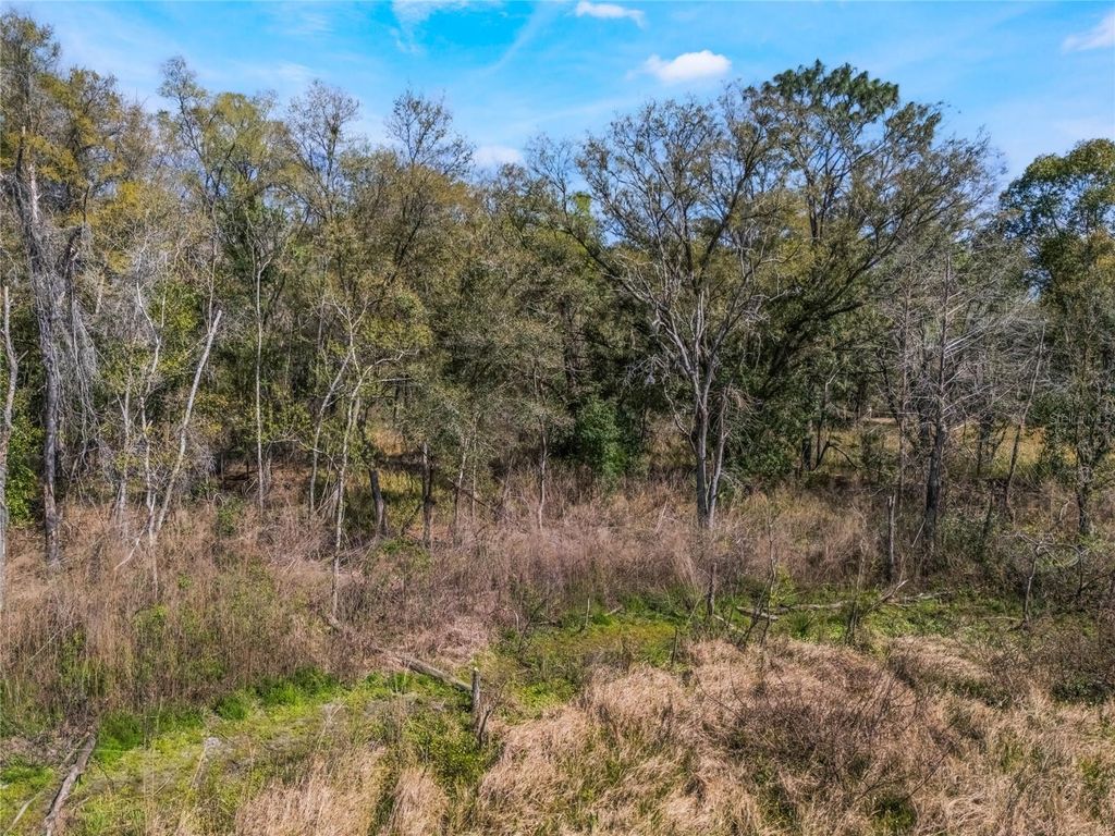 Photo of 2208 Eisenhower Street, Inverness, FL 34453 (MLS # O6290206)