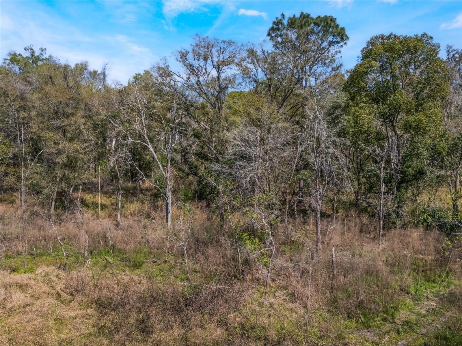 2208 EISENHOWER STREET