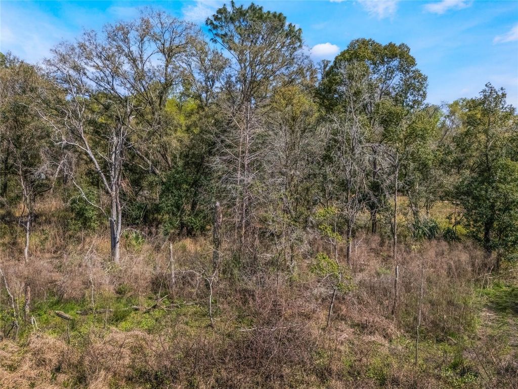 Photo of 2208 Eisenhower Street, Inverness, FL 34453 (MLS # O6290206)