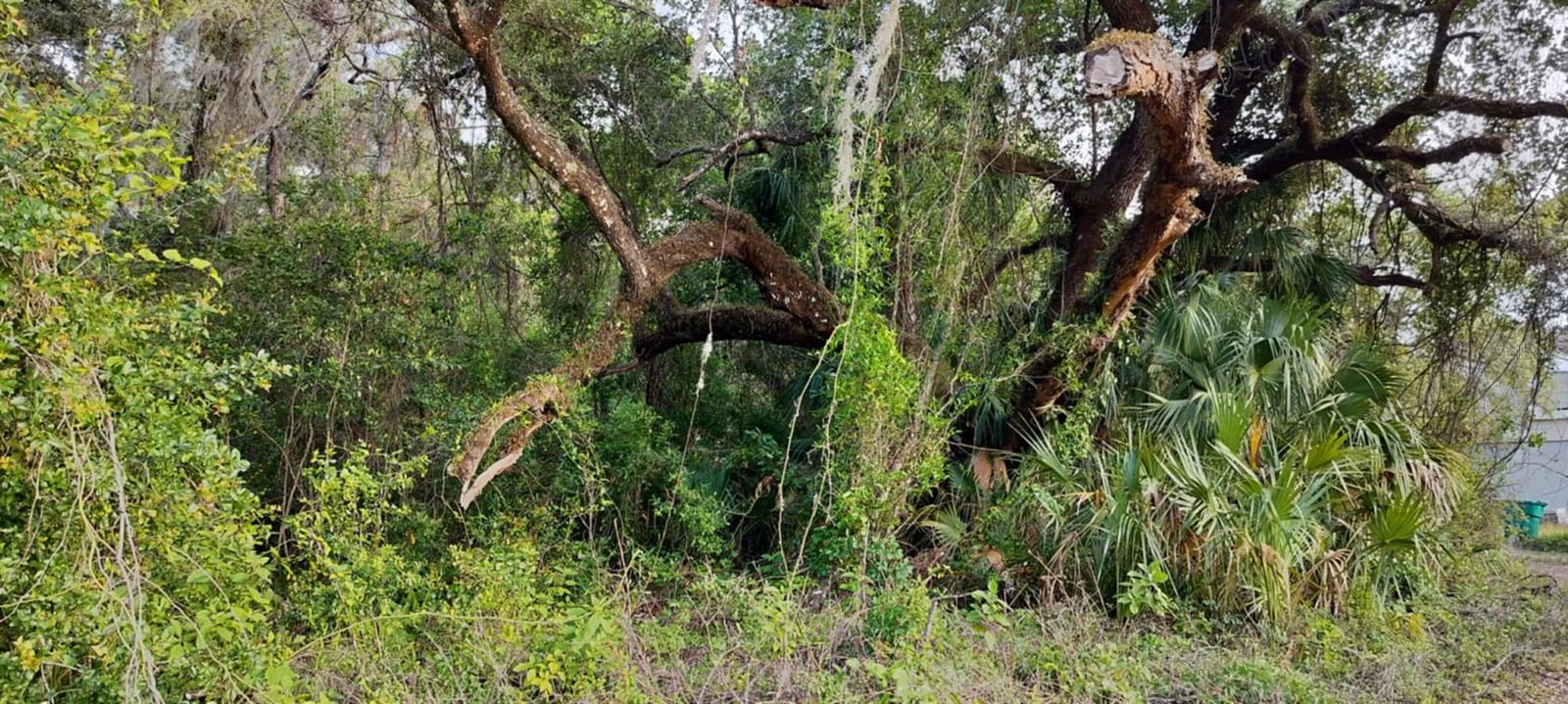 SHELTERING OAKS UNREC SUB - Land