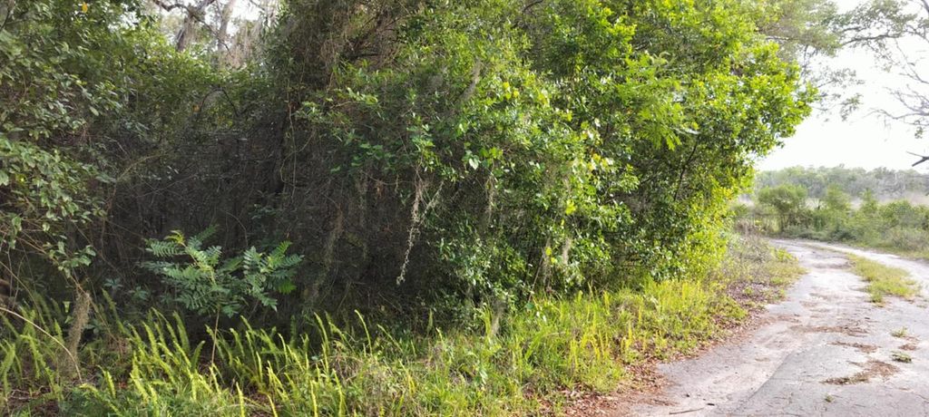 Photo of 63 N Sheltering Oaks Drive, Inverness, FL 34453 (MLS # TB8384607)