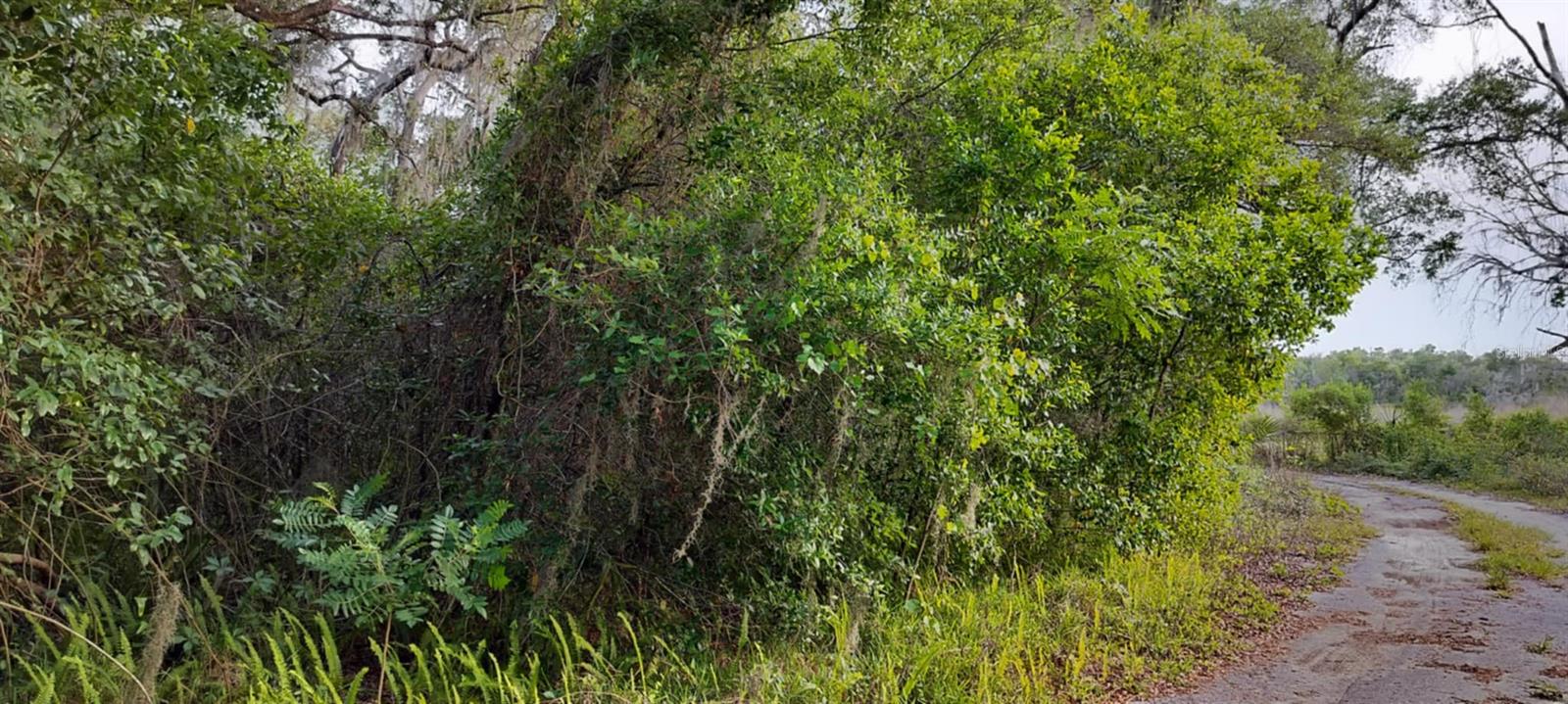 SHELTERING OAKS UNREC SUB - Land