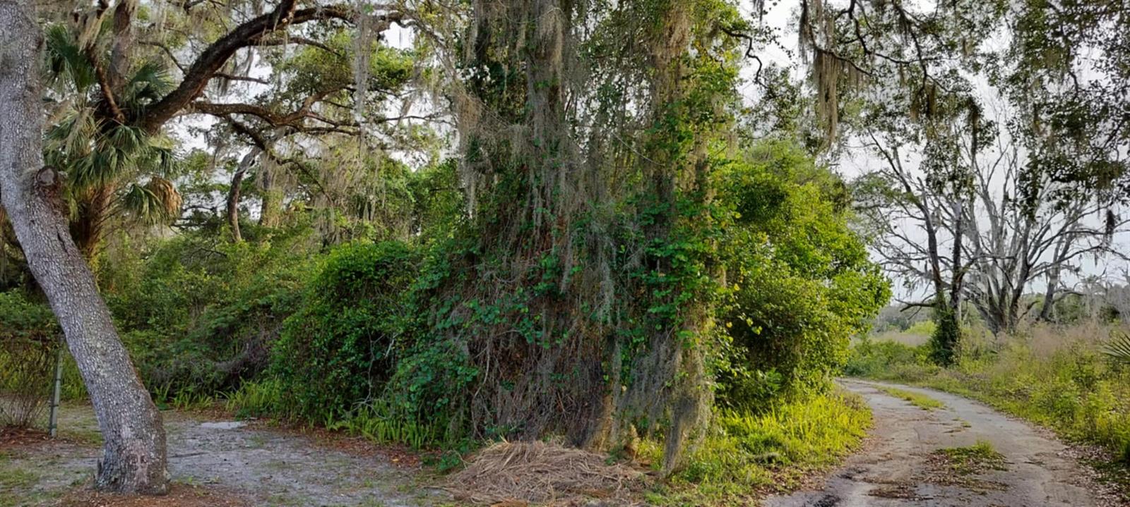 SHELTERING OAKS UNREC SUB - Land