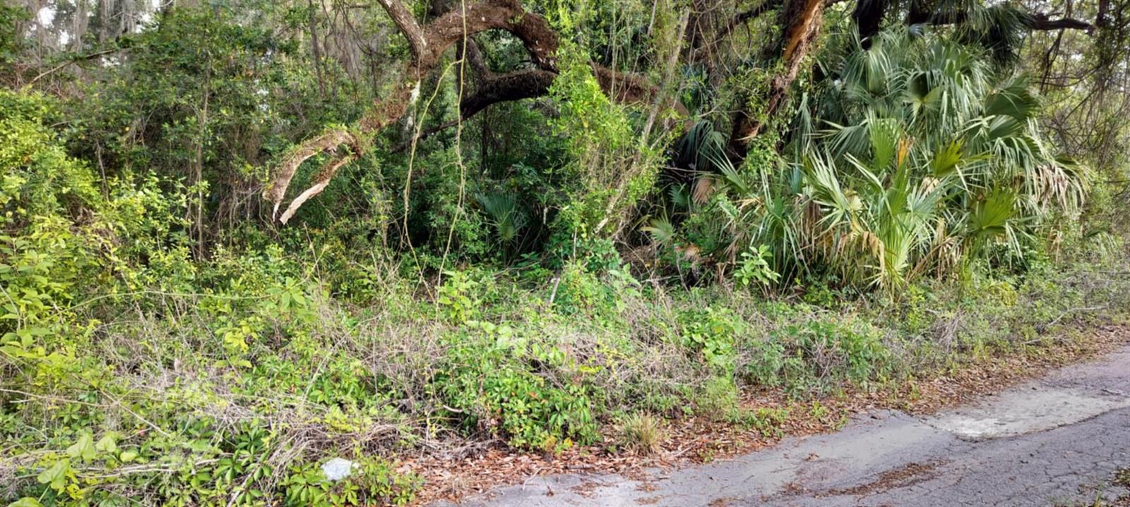 SHELTERING OAKS UNREC SUB - Land