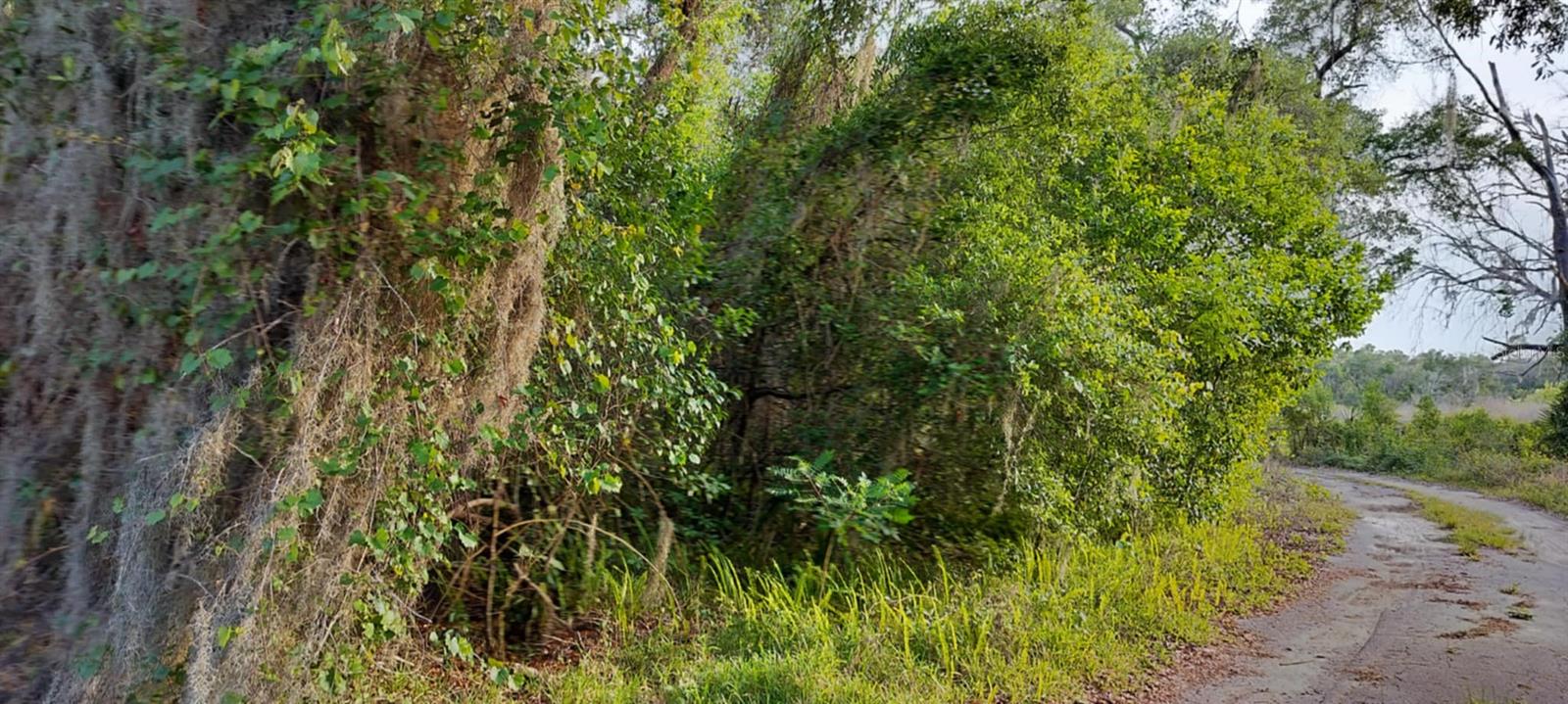 SHELTERING OAKS UNREC SUB - Land