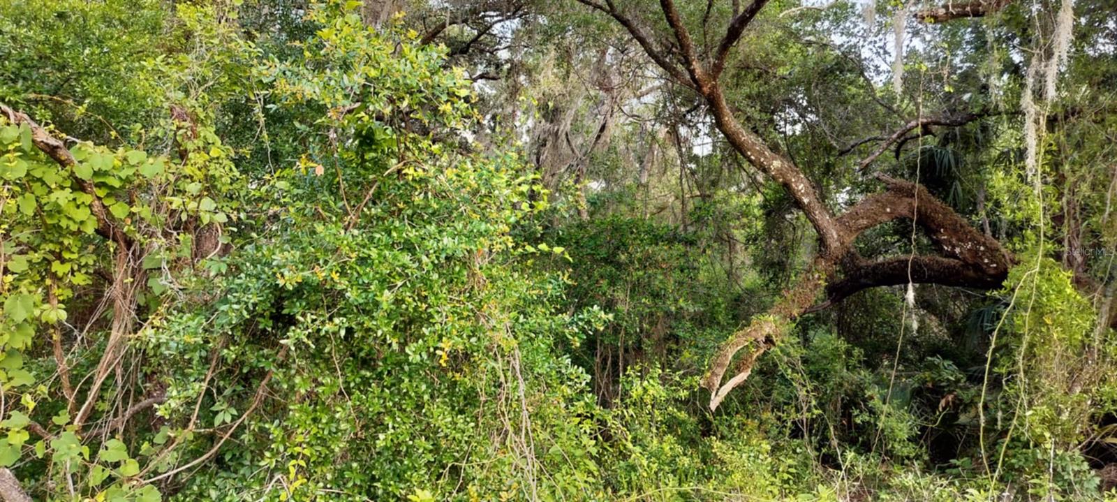 SHELTERING OAKS UNREC SUB - Land