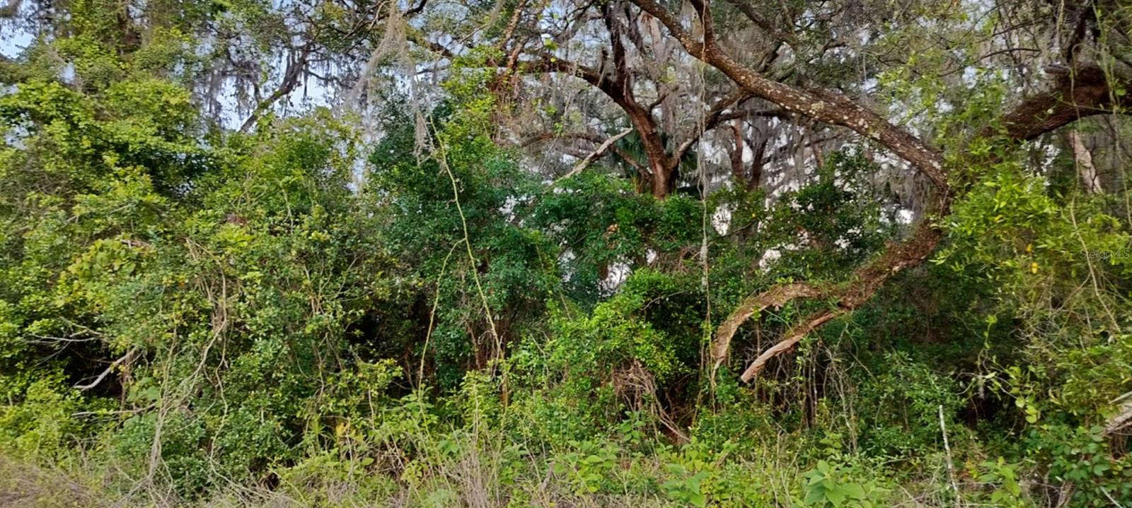 SHELTERING OAKS UNREC SUB - Land